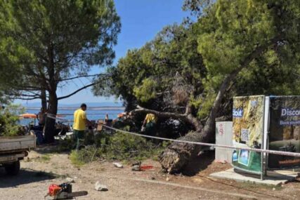 Drama na plaži u Hrvatskoj: Ogroman bor pao na kupače, među povrijeđenima i djeca