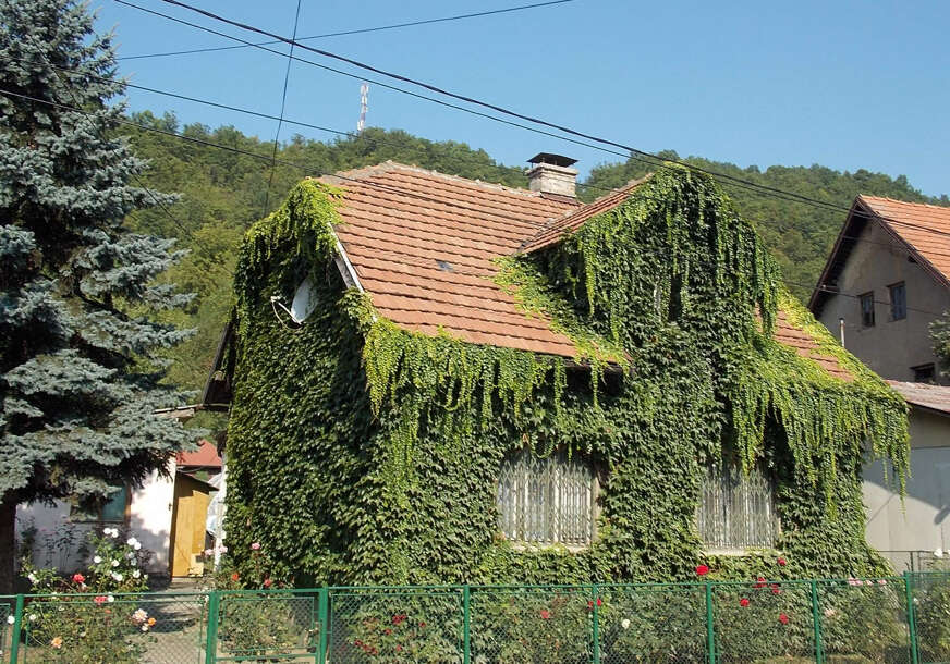 FOTO: ESET MURAČEVIĆ