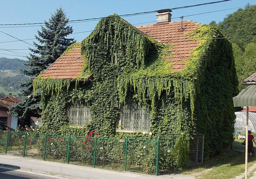 FOTO: ESET MURAČEVIĆ