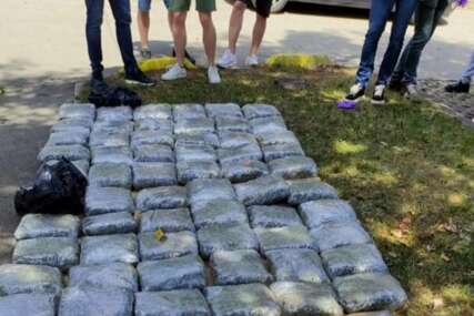 Akcija FUP-a 'Transporter' - U Sarajevu zaplijenjena 73 kilograma kanabisa, privedena jedna osoba