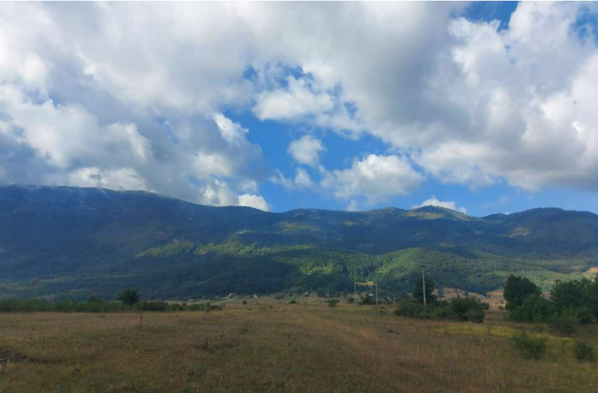 FOTO: MAJA GRABOVAC