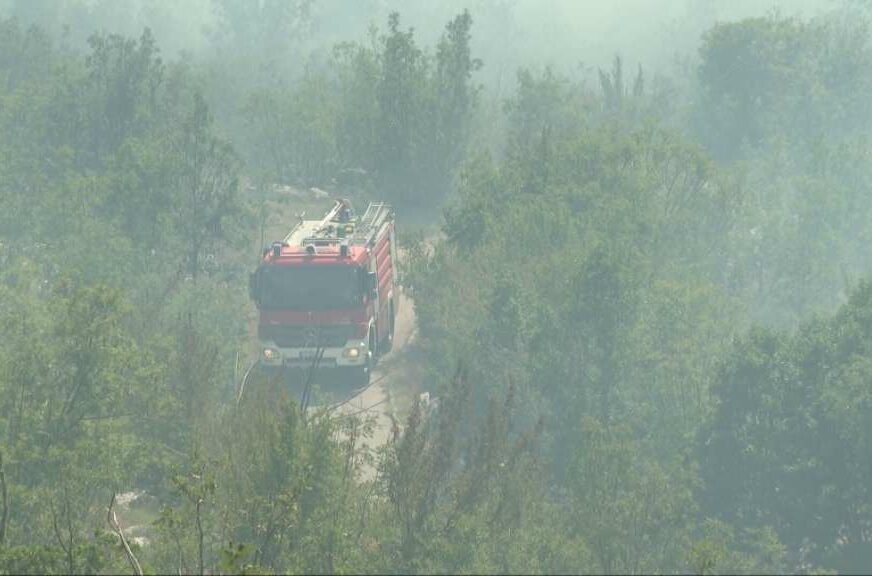 FOTO: RTV CRNE GORE