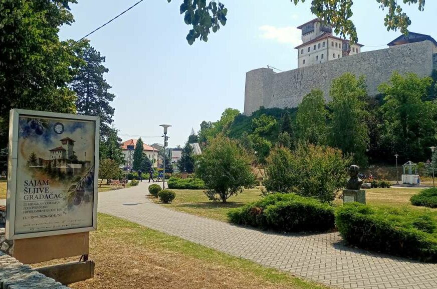 FOTO: SAJAM ŠLJIVE