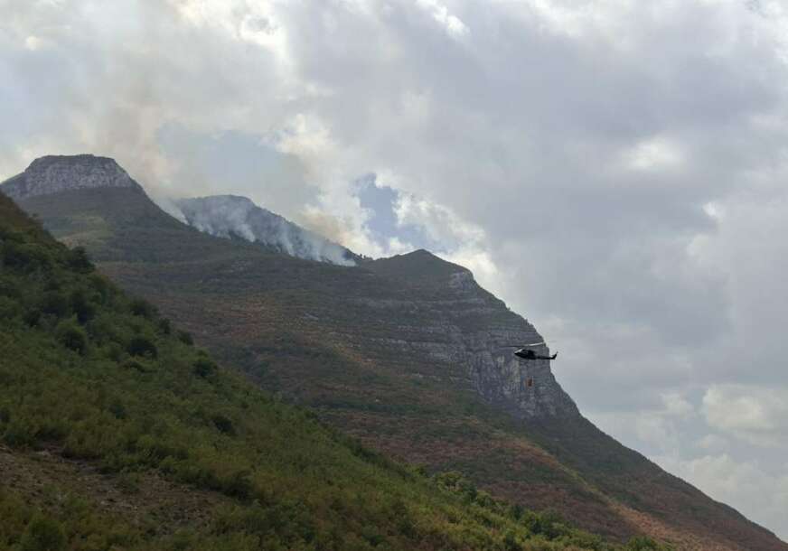 FOTO:  FENA MOSTAR