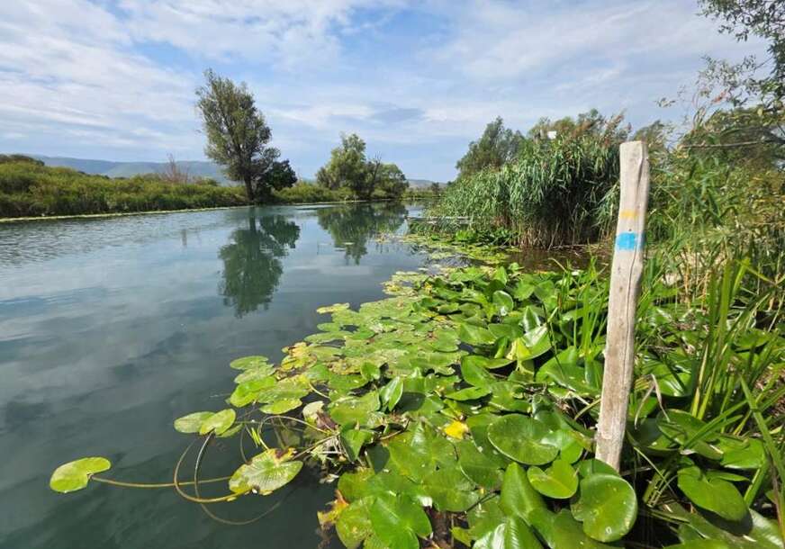FOTO: PARK PRIRODE HUTOVO BLATO