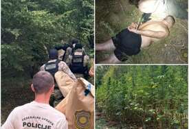 Kod Grabovice pronađena plantaža kanabisa, dvije osobe uhapšene