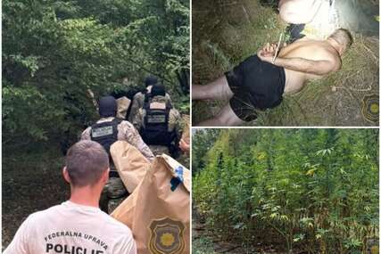 Kod Grabovice pronađena plantaža kanabisa, dvije osobe uhapšene