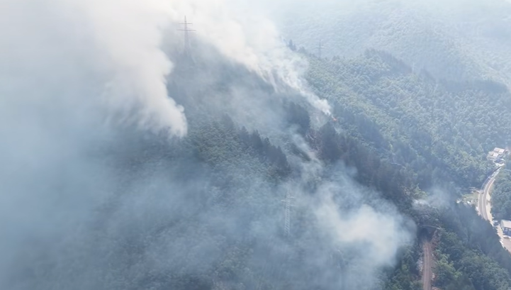 FOTO: FACEBOOK ŠUMARSTVO PRENJ KONJIC