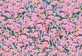 Ljetna mozgalica: Jedna balerina sakrila se među flamingosima, možete li otkriti gdje je?