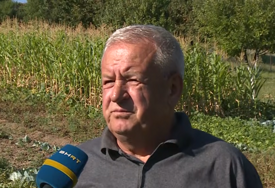 Poljoprivrednik Muhamed Softić: "Tek ćemo nakon ovog toplotnog vala vidjeti stvarne razmjere štete..."