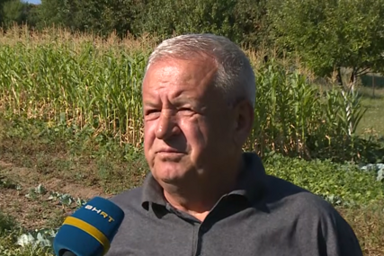Poljoprivrednik Muhamed Softić: "Tek ćemo nakon ovog toplotnog vala vidjeti stvarne razmjere štete..."