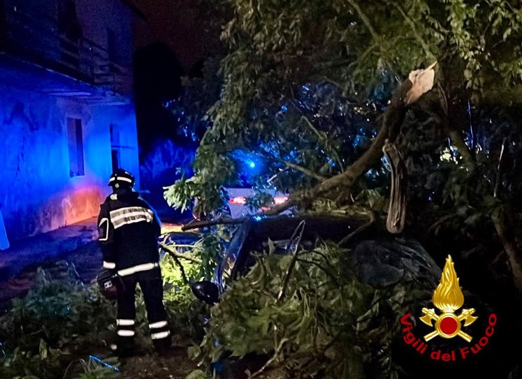 FOTO: VIGILI DEI FUOCO 