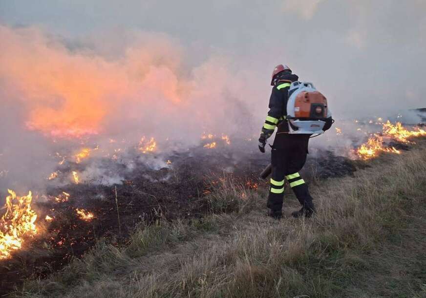 FOTO: FENA / MARIO LONCAR