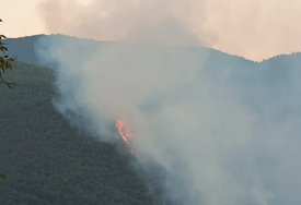 Požar u Novom Goraždu i dalje bukti, najugroženija trafostanica