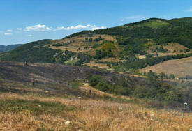 Gorilo rastinje kod deponije: Šest cisterni KJKP Rad i vatrogasci gasili požar