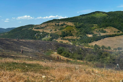 Gorilo rastinje kod deponije: Šest cisterni KJKP Rad i vatrogasci gasili požar