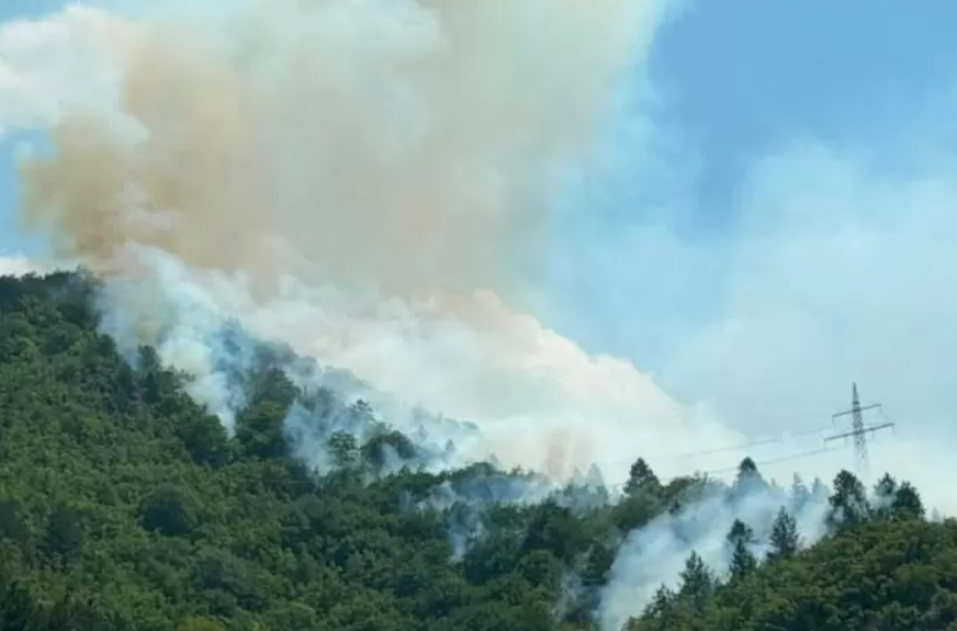 FOTO: NOVIKONJIC.BA