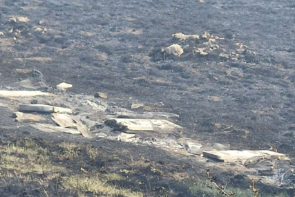VELIKA ŠTETA Stradale košnice sa pčelama kod Tomislavgrada