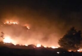 (VIDEO) Vatra prijeti selu kod Nevesinja: Uključila se i vojska