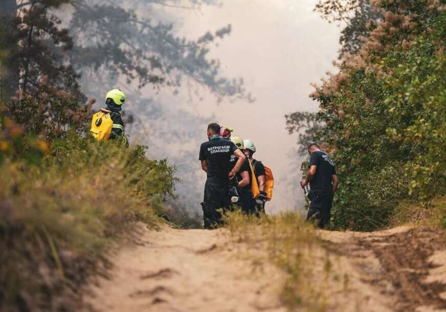 FOTO: MUP SRBIJE