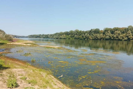 Brčko: Izuzetno nizak vodostaj Save otežava plovidbu