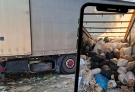 Potez vrijedan pohvale: Šleper vune predali na preradu, općina osigurala i subvencije