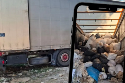 Potez vrijedan pohvale: Šleper vune predali na preradu, općina osigurala i subvencije