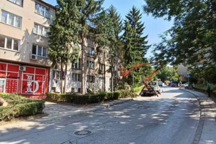 Ballian: Neopravdana sječa stabala, a grad zbog manjka drveća sve topliji