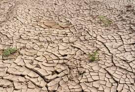 Zastrašujuće prognoze: El Niño bi mogao odvesti 50 miliona ljudi u akutnu glad do kraja sljedeće godine