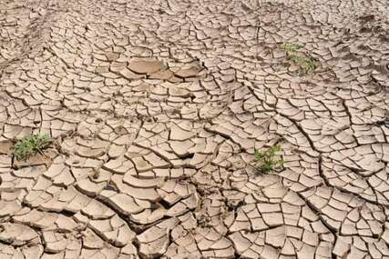 Zastrašujuće prognoze: El Niño bi mogao odvesti 50 miliona ljudi u akutnu glad do kraja sljedeće godine