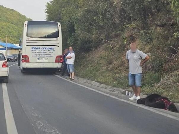 FOTO: GRAD BUSOVAČA
