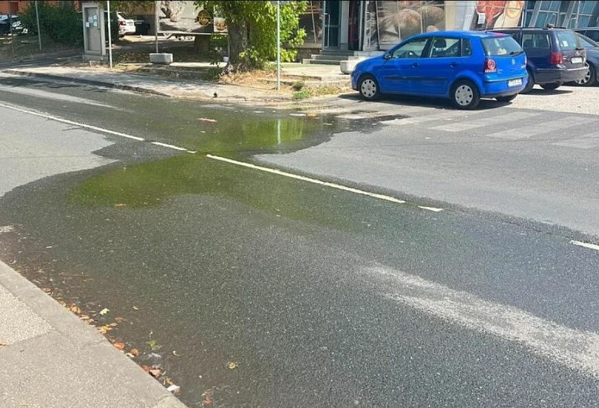 FOTO: SELMA PRŠEŠ