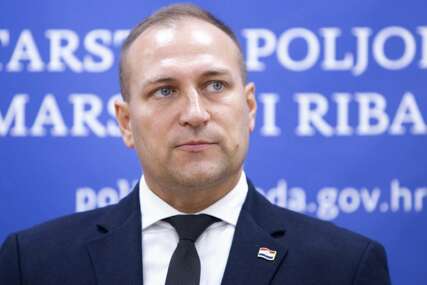 Vlajčić: Nema poticaja za one koji podmeću požare i slave velikosrpsku agresiju