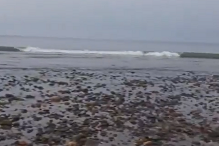 Snažan zemljotres pogodio Indoneziju, more se povuklo, očekuje se cunami (VIDEO)