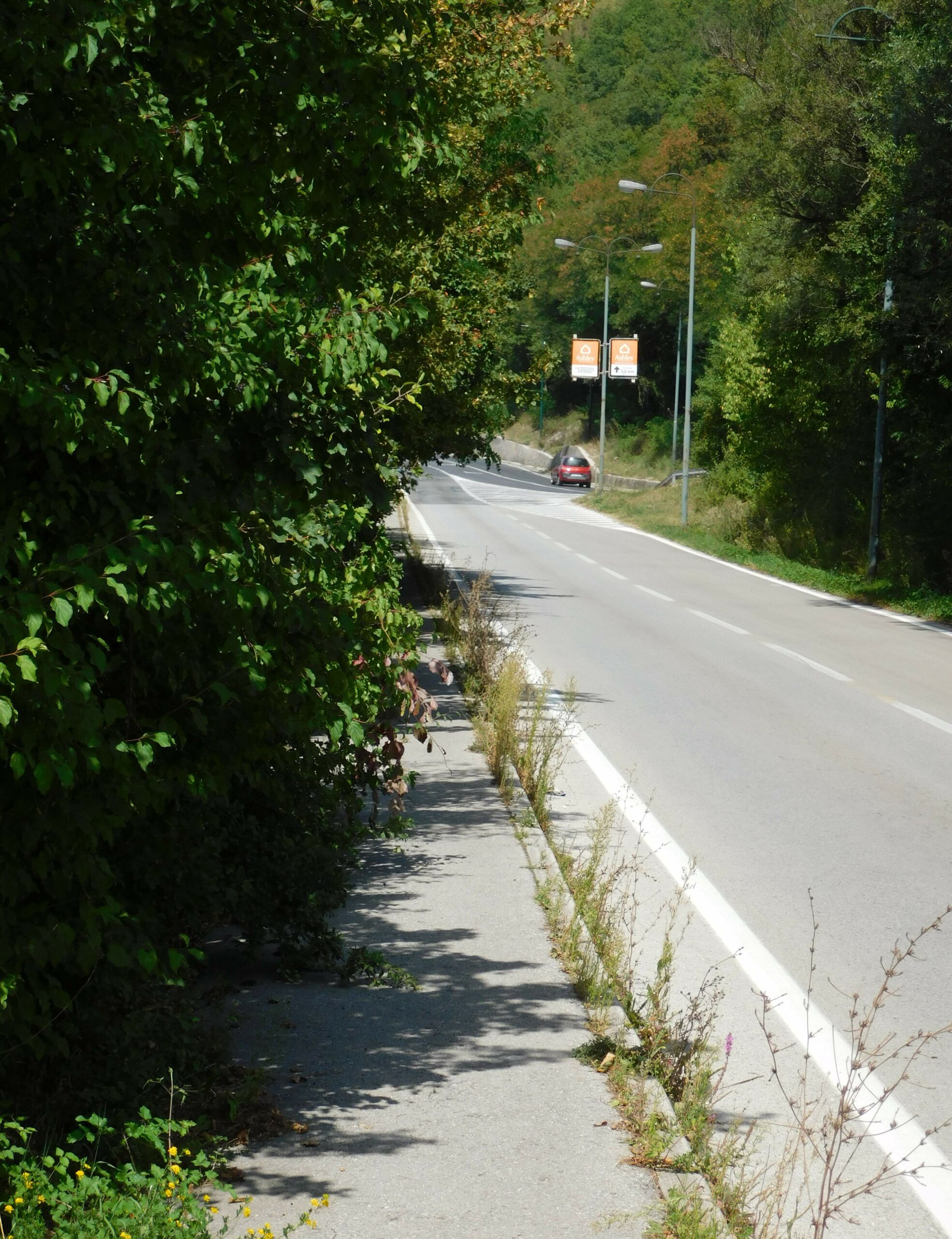 FOTO: ESET MURAČEVIĆ