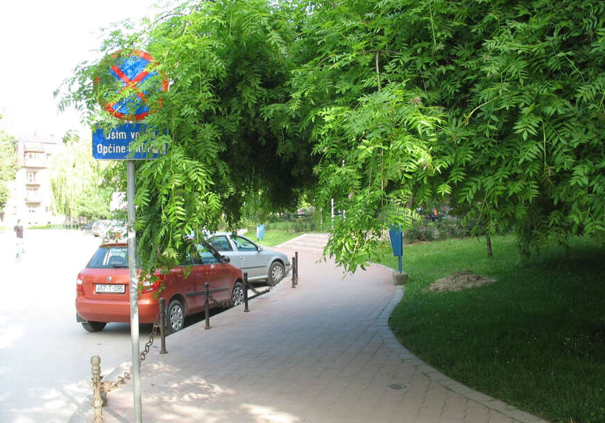 FOTO: E. MURAČEVIĆ