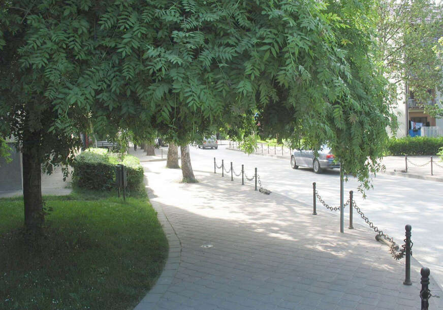 FOTO: DRVO BIROKRATA