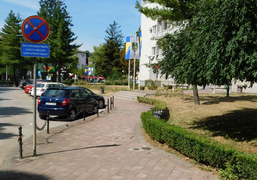 FOTO: DRVO VISE NE OMETA PROLAZNIKE