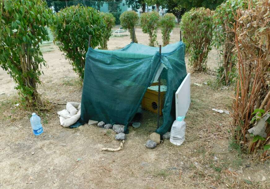 FOTO: ESET MURAČEVIĆ