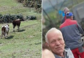 Strašna tragedija u BiH: Agresivni bik nasmrt izbo vlasnika
