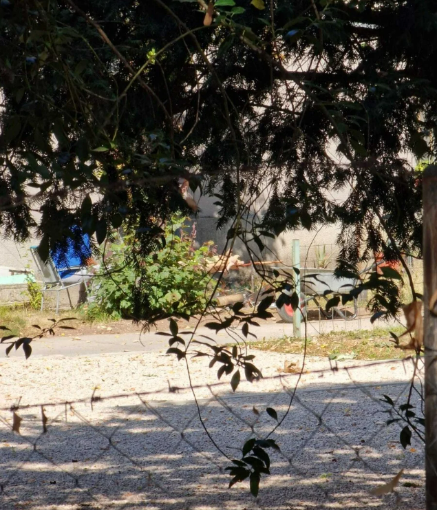 FOTO: ČITATELJ KLIX