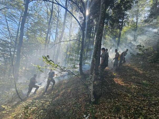 FOTO: MINISTARSTVO ODBRANE I ORUŽANE SNAGE BIH