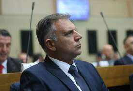 GUBITNIK DANA Borivoje Golubović