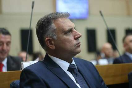 GUBITNIK DANA Borivoje Golubović