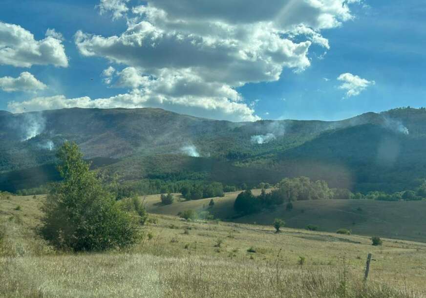 FOTO: MAJA GRABOVAC