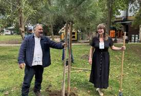 Sarajevo Fest pridružuje se evropskom projektu „Festivalska šuma“: Na Pozorišnom Trgu Susan Sontag bit će zasađeno drvo života