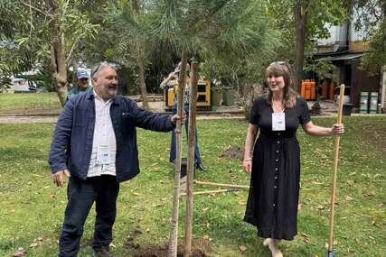 Sarajevo Fest pridružuje se evropskom projektu „Festivalska šuma“: Na Pozorišnom Trgu Susan Sontag bit će zasađeno drvo života