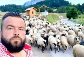 Enesu iz Trnova psi lutalice uništili stado ovaca: "Godinama smo prijavljivali problem, niko nište ne preduzima"