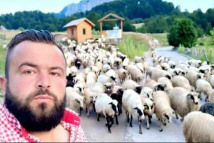 Enesu iz Trnova psi lutalice uništili stado ovaca: "Godinama smo prijavljivali problem, niko nište ne preduzima"
