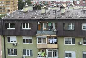 Galebovi zaposjeli zgradu na Grbavici. Jako su glasni i jako, jako "neuredni"